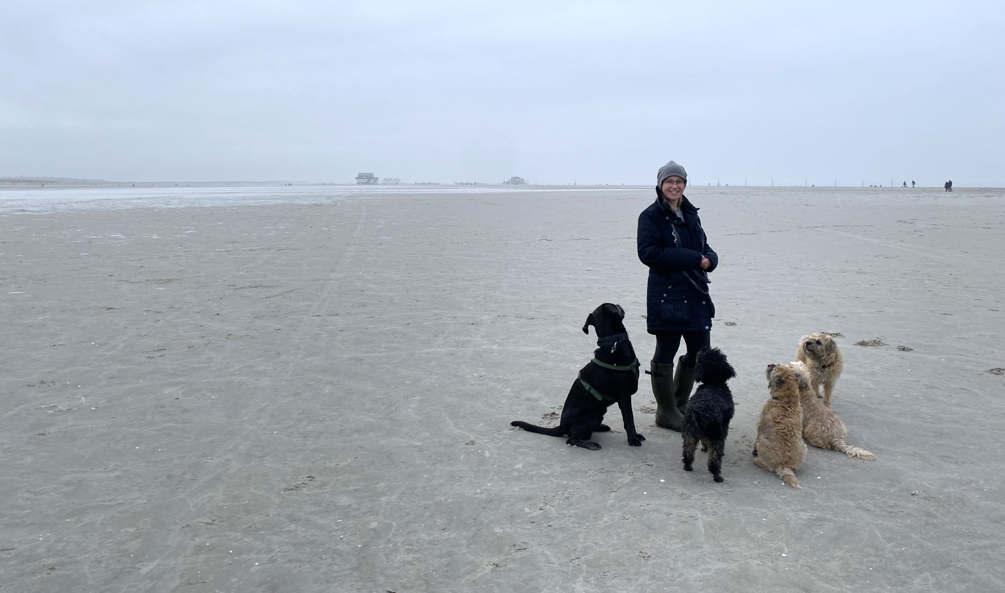 Meine Hunde und ich am Strand